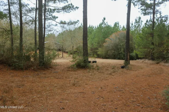 $658,300 | D A Dyess Road, Carson, MS 39427