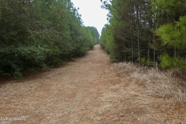 $658,300 | D A Dyess Road, Carson, MS 39427