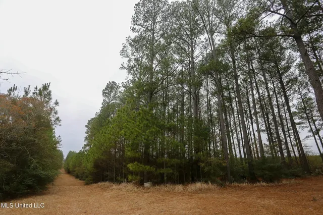 $658,300 | D A Dyess Road, Carson, MS 39427