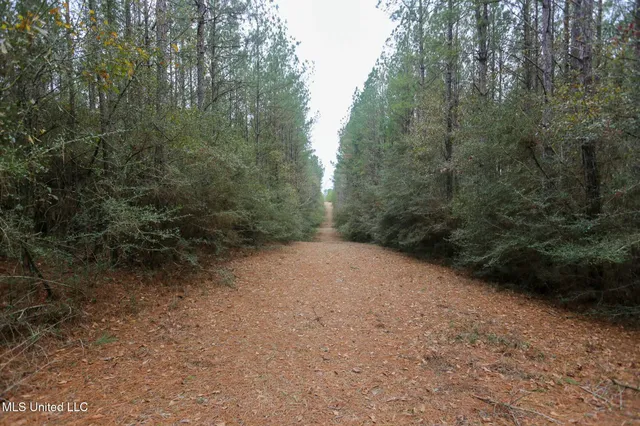 $658,300 | D A Dyess Road, Carson, MS 39427