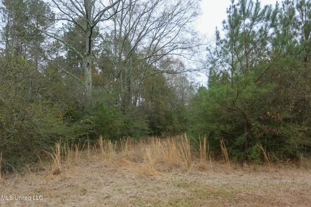 $658,300 | D A Dyess Road, Carson, MS 39427