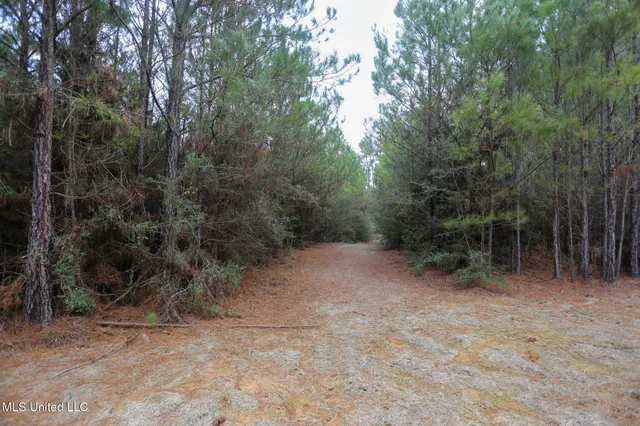 $658,300 | D A Dyess Road, Carson, MS 39427