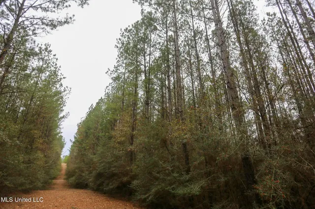 $658,300 | D A Dyess Road, Carson, MS 39427