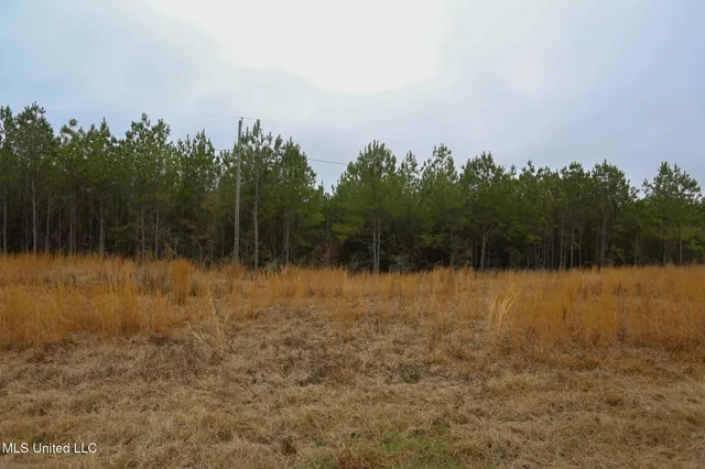 $658,300 | D A Dyess Road, Carson, MS 39427