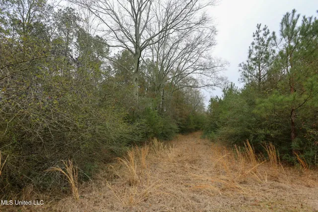 $658,300 | D A Dyess Road, Carson, MS 39427