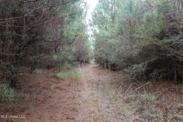 $658,300 | D A Dyess Road, Carson, MS 39427