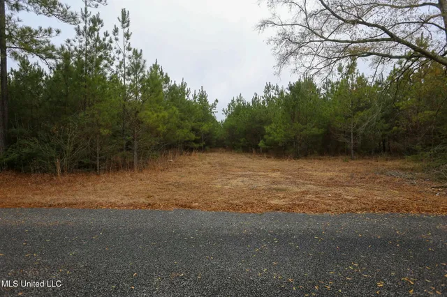$658,300 | D A Dyess Road, Carson, MS 39427