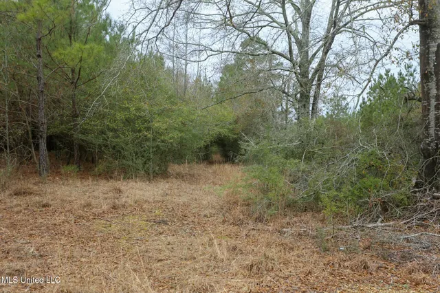 $658,300 | D A Dyess Road, Carson, MS 39427