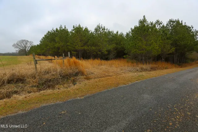 $658,300 | D A Dyess Road, Carson, MS 39427