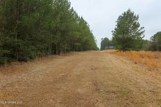 $658,300 | D A Dyess Road, Carson, MS 39427