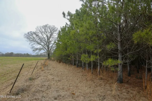 $658,300 | D A Dyess Road, Carson, MS 39427