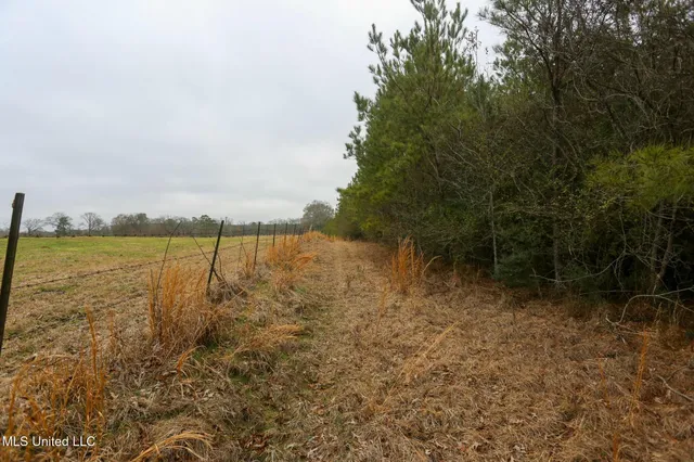 $658,300 | D A Dyess Road, Carson, MS 39427