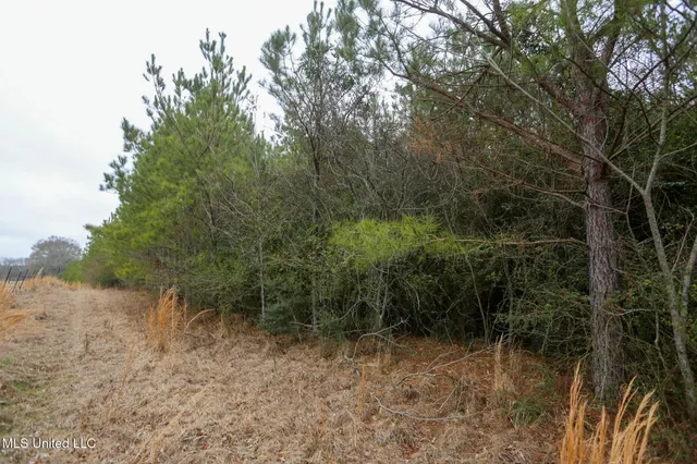 $658,300 | D A Dyess Road, Carson, MS 39427