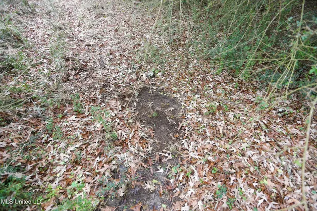 $658,300 | D A Dyess Road, Carson, MS 39427