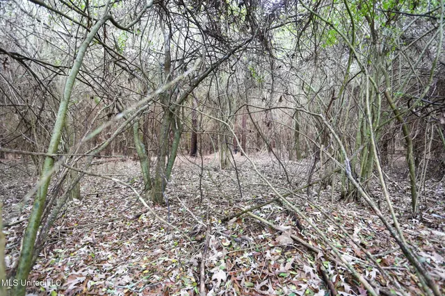 $658,300 | D A Dyess Road, Carson, MS 39427