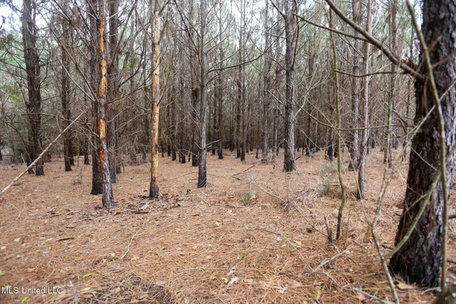 $658,300 | D A Dyess Road, Carson, MS 39427