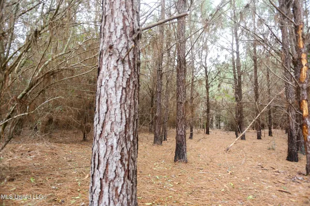 $658,300 | D A Dyess Road, Carson, MS 39427