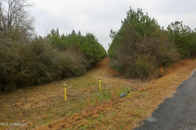 $658,300 | D A Dyess Road, Carson, MS 39427