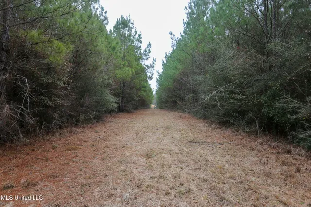 $658,300 | D A Dyess Road, Carson, MS 39427
