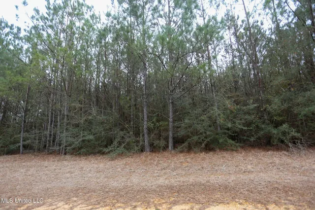 $658,300 | D A Dyess Road, Carson, MS 39427