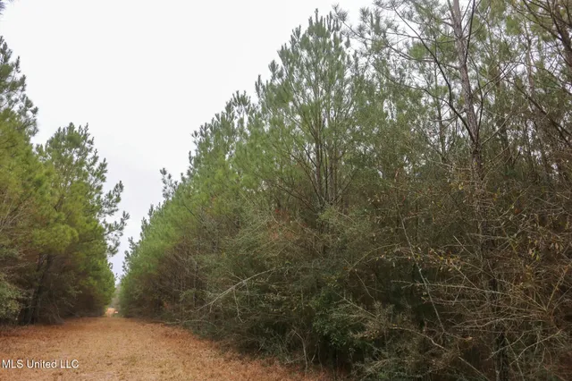 $658,300 | D A Dyess Road, Carson, MS 39427