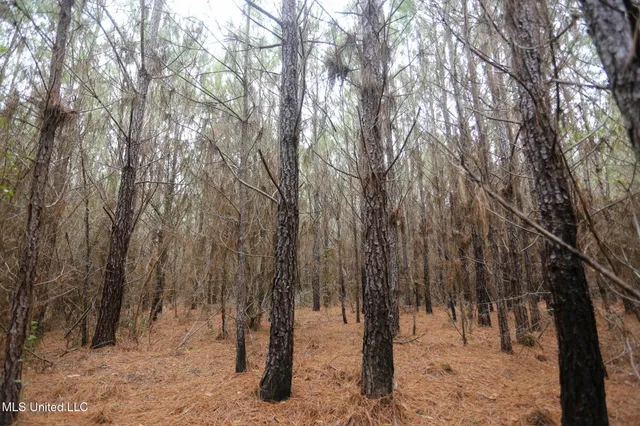 $658,300 | D A Dyess Road, Carson, MS 39427