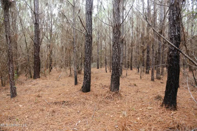 $658,300 | D A Dyess Road, Carson, MS 39427