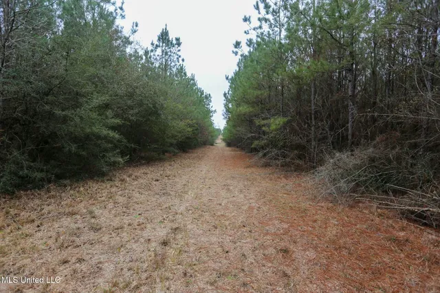 $658,300 | D A Dyess Road, Carson, MS 39427