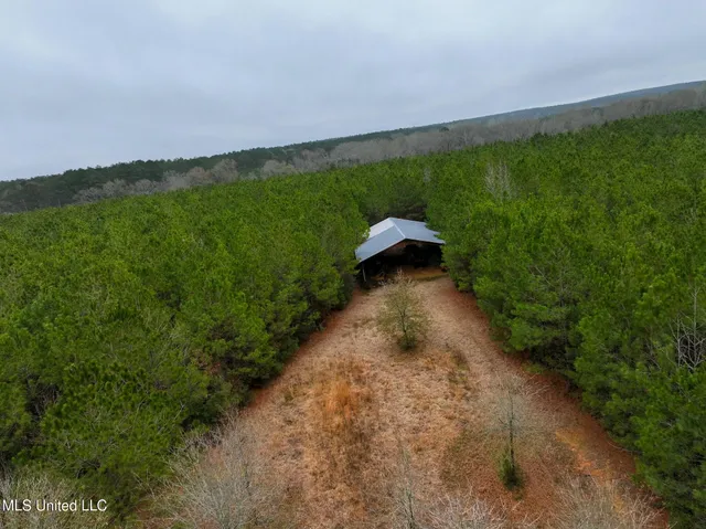 $658,300 | D A Dyess Road, Carson, MS 39427