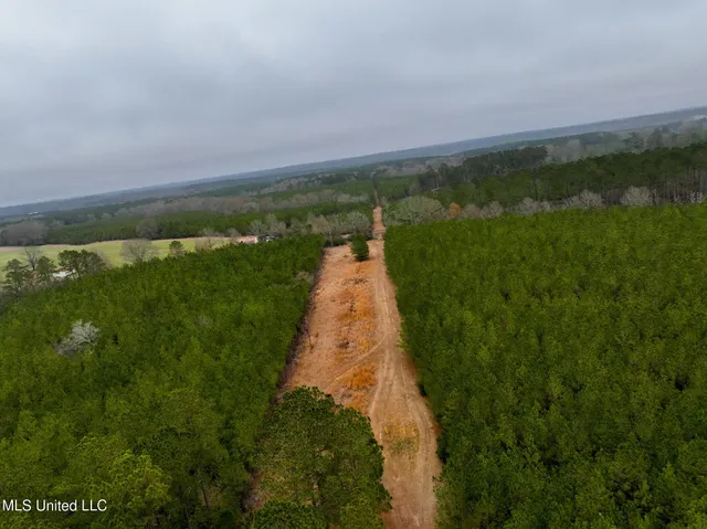 $658,300 | D A Dyess Road, Carson, MS 39427