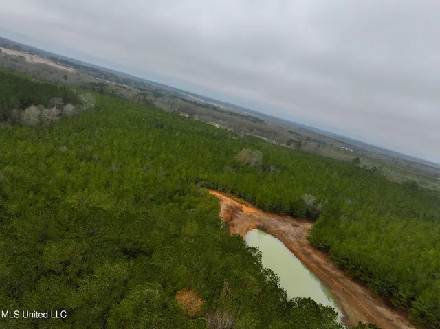 $658,300 | D A Dyess Road, Carson, MS 39427