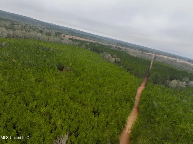 $658,300 | D A Dyess Road, Carson, MS 39427