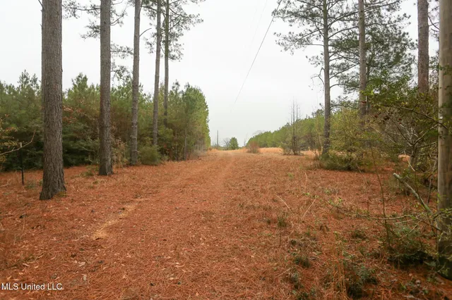 $658,300 | D A Dyess Road, Carson, MS 39427
