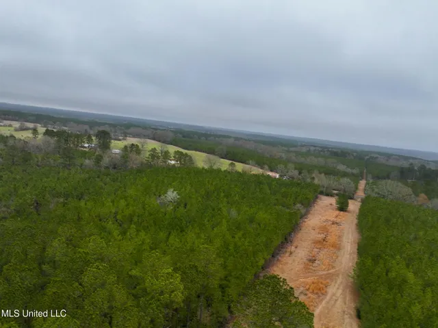 $658,300 | D A Dyess Road, Carson, MS 39427