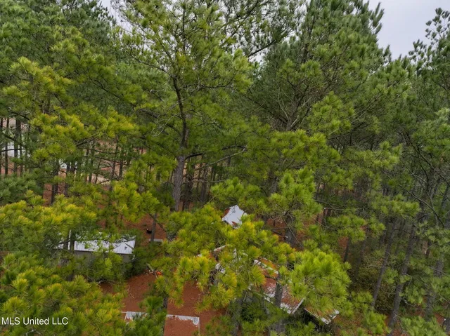 $658,300 | D A Dyess Road, Carson, MS 39427