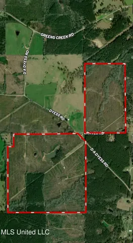 $658,300 | D A Dyess Road, Carson, MS 39427