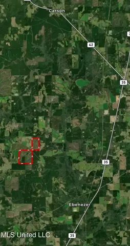 $658,300 | D A Dyess Road, Carson, MS 39427