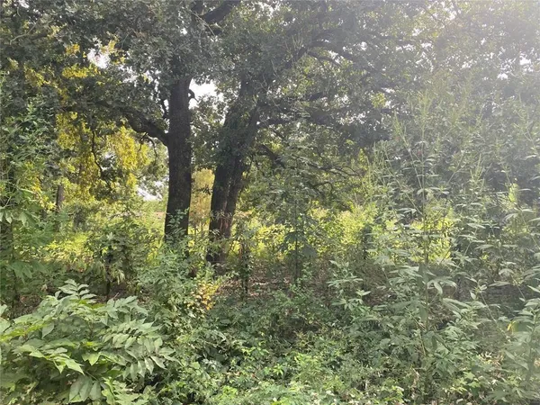 $50,000 | Tbd Lot 4-and 5 Tbd, Kemp, TX 75143