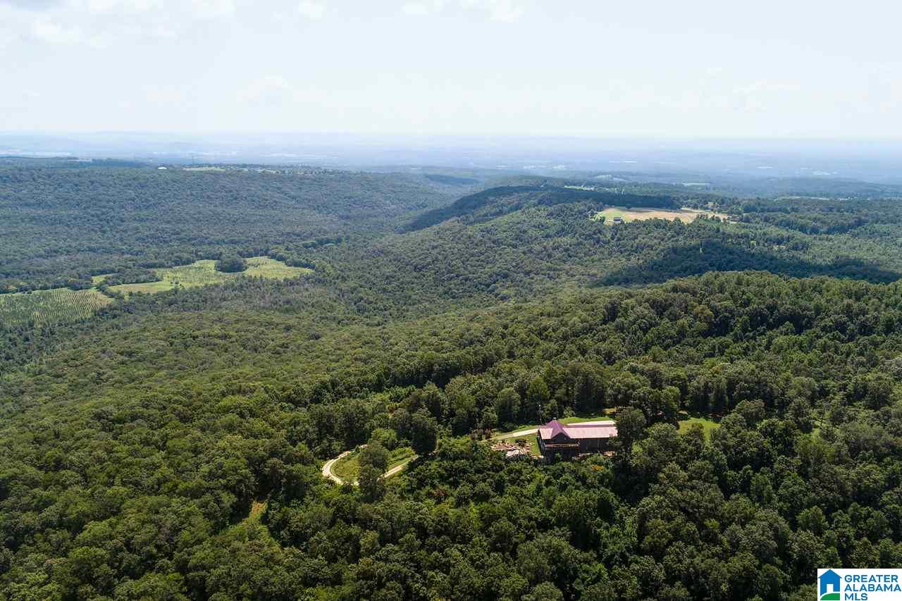 1458 Warnock Peak Road Hayden, AL 35079 - Photo 8 of 50