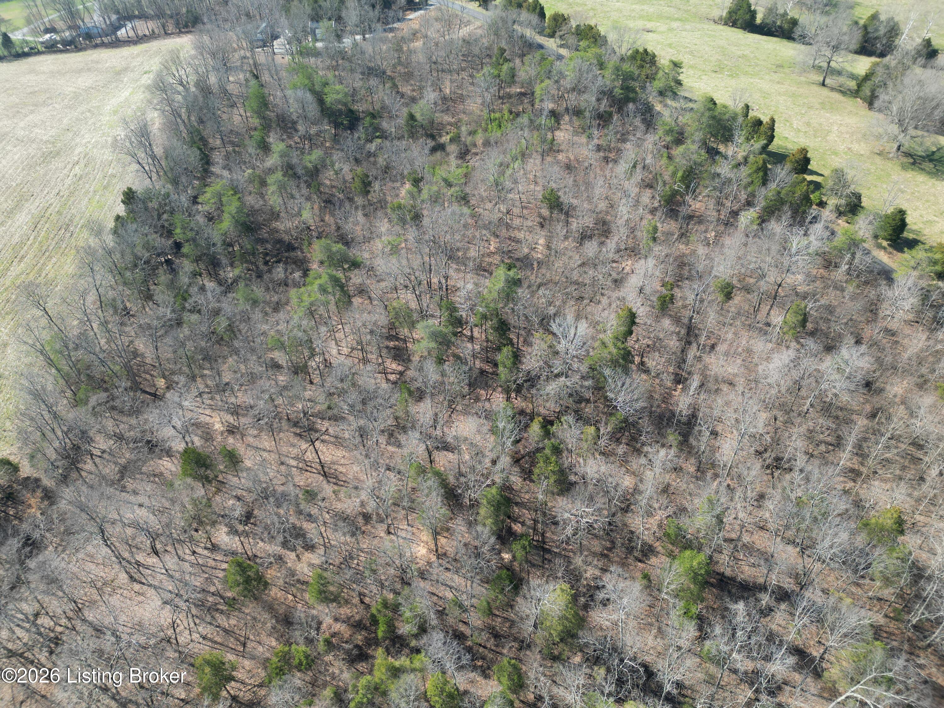 Lot 2 Shores Rd Falls Falls Of Rough, KY 40119 - Photo 9 of 15 12