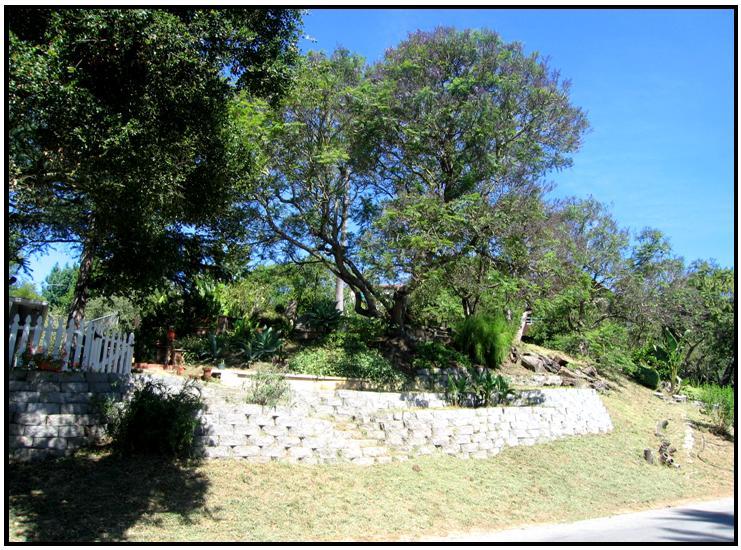 1050 Manitou Road Santa Barbara, CA 93101 - Photo 7 of 8 a view of a backyard of the house