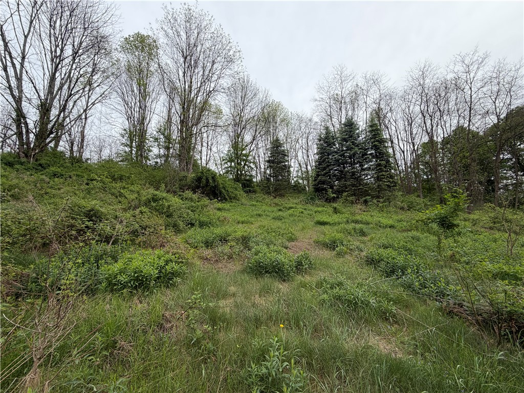 473 County Highway Oneonta, NY 13820 - Photo 45 of 45