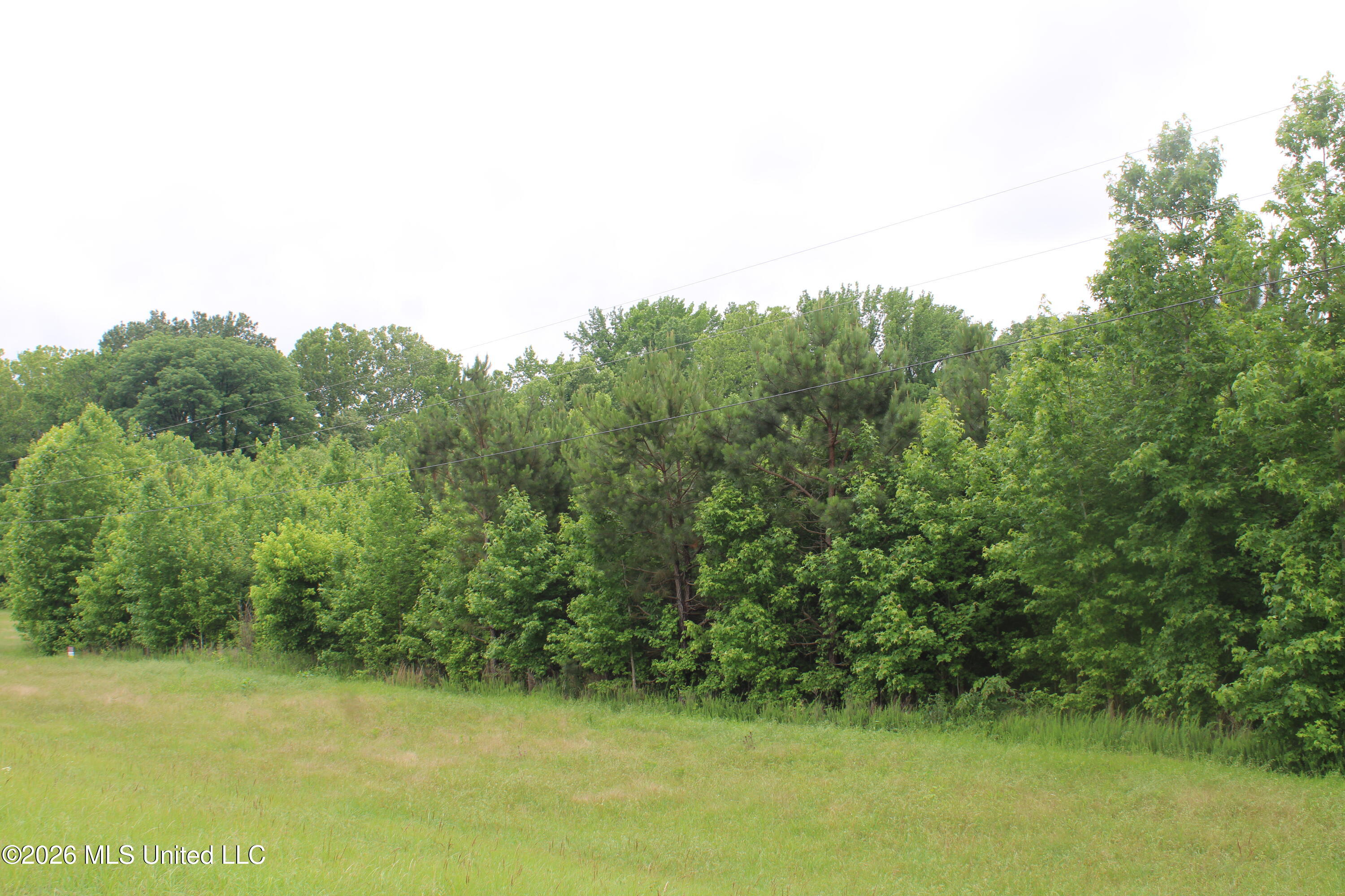 2 Eason Farm Road Byhalia, MS 38611 - Photo 9 of 23 IMG_7832