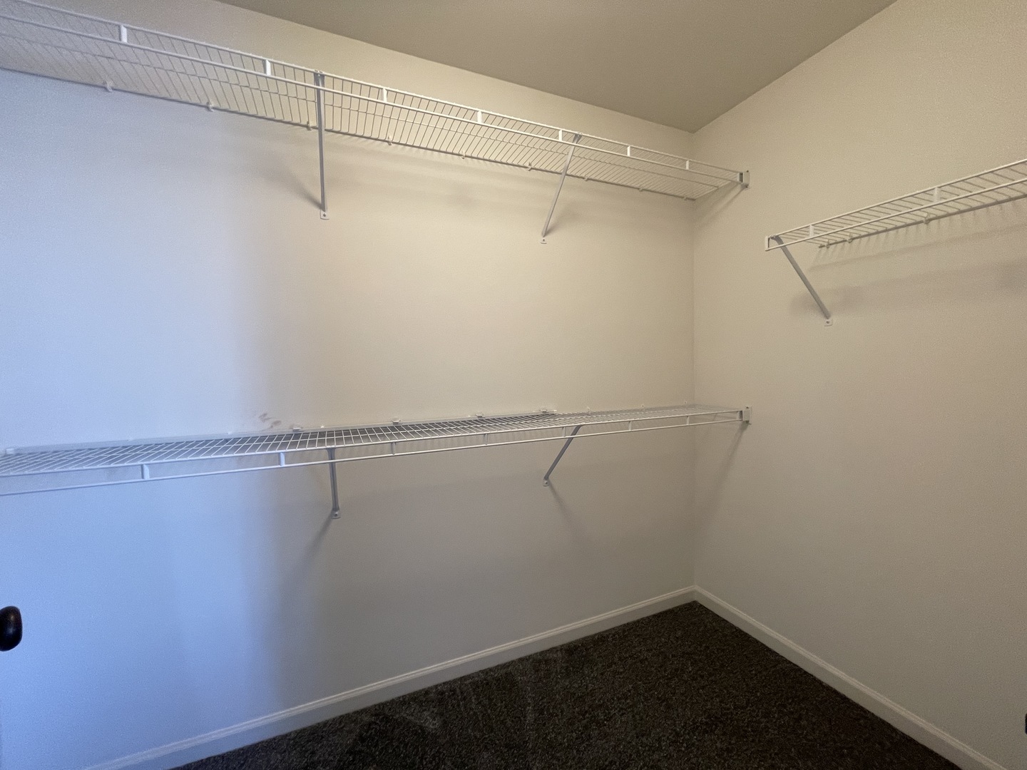 3414 Cameron Drive Elgin, IL 60124 - Photo 17 of 24 a view of a room with racks on the wall