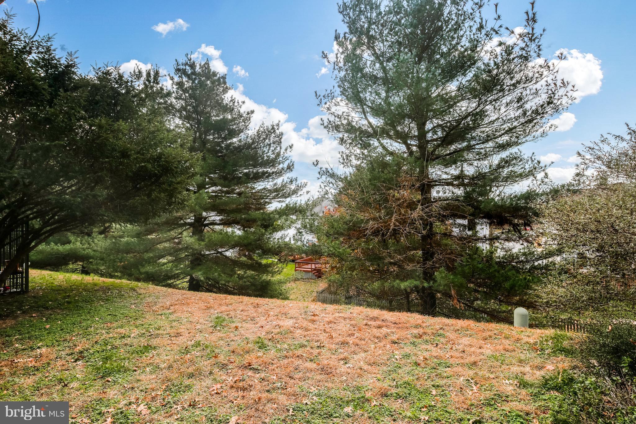 8705 Ridge Road Ellicott City, MD 21043 - Photo 20 of 20 Rear Yard