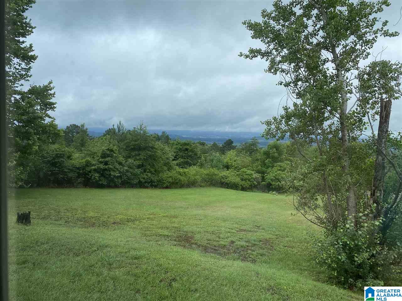 1145 Sawyer Mountain Road Oneonta, AL 35121 - Photo 5 of 35