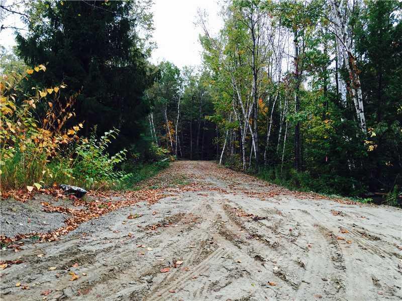 100 Old Cedar Grove Road Pittston, ME 04345 - Photo 5 of 6 Land.
