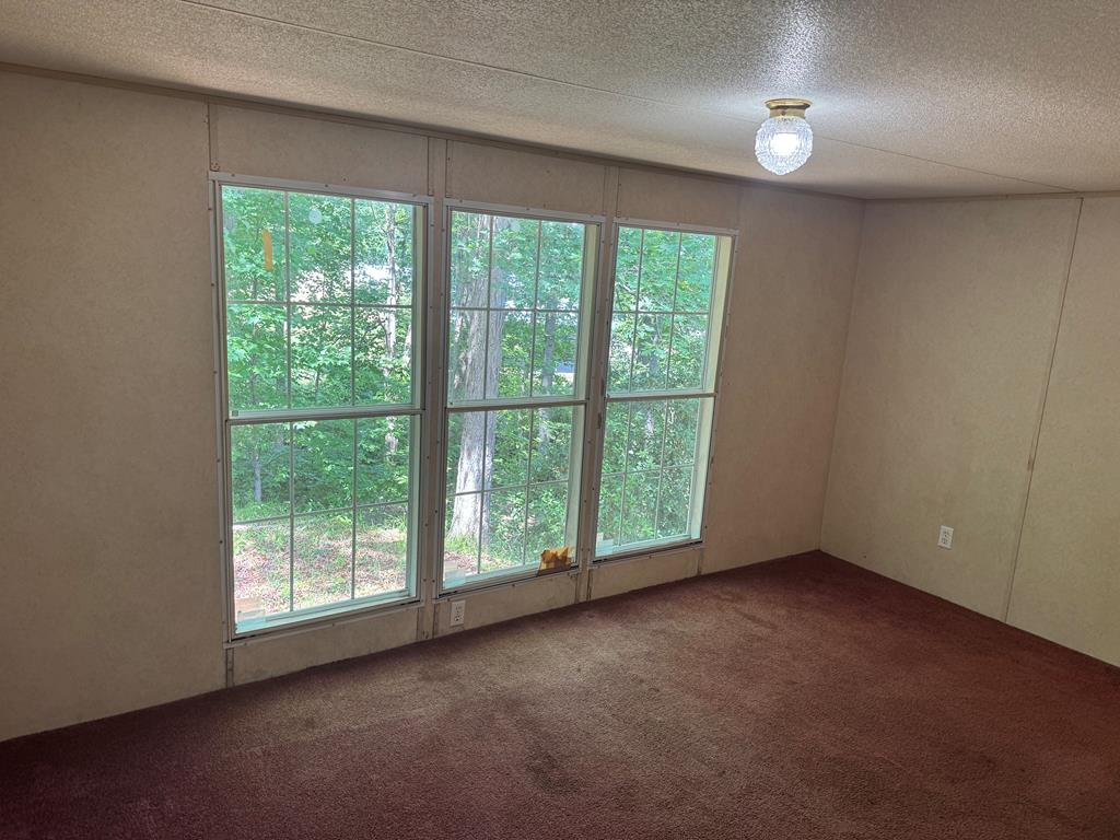1131 Ada Street Blue Ridge, GA 30513 - Photo 17 of 22