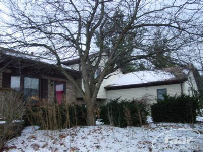 4665 Rohr Road Lake Orion, MI 48359 - Photo 4 of 8 20243257-3.JPG