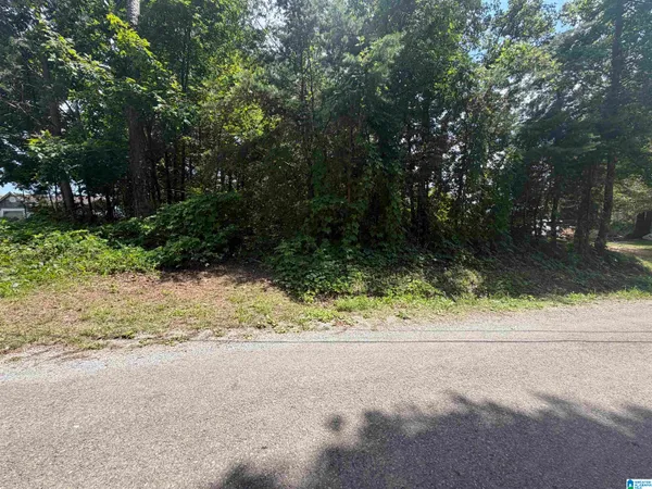$19,000 | 0 Holliday Drive, Unit 6, Oneonta, AL 35121